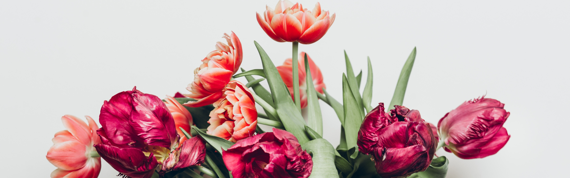 Blume